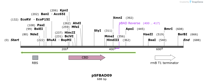 21994_map