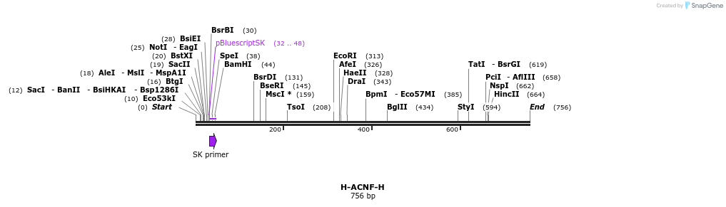 21997_map