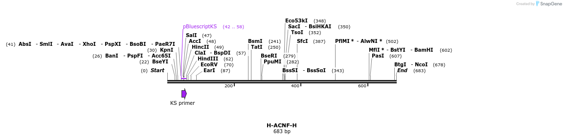 21998_map
