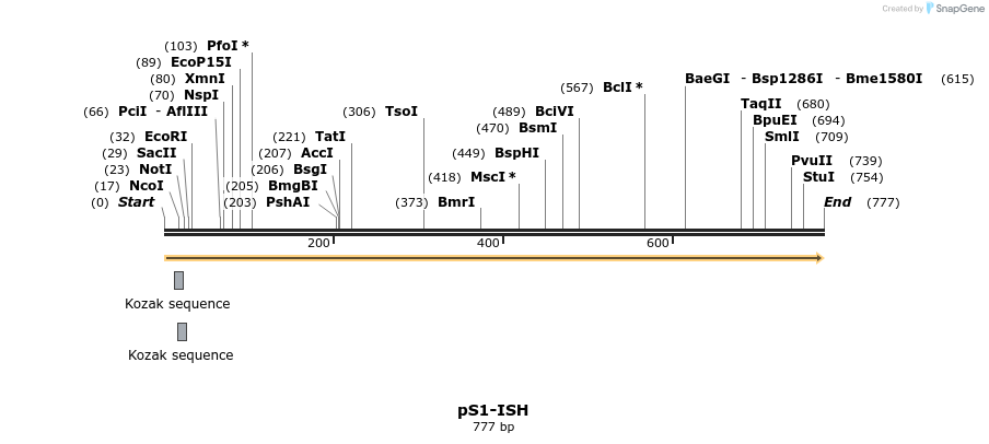 21999_map