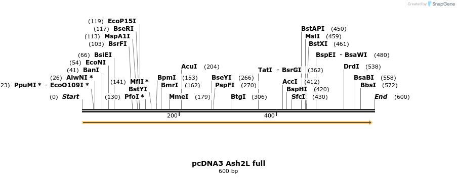 22002_map