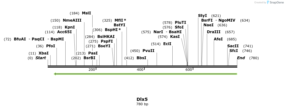 22007_map