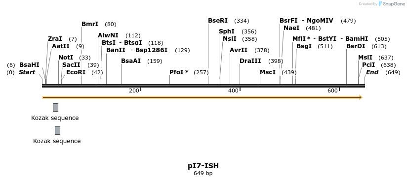 22013_map