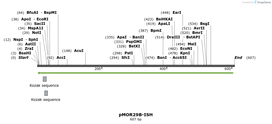 22019_map