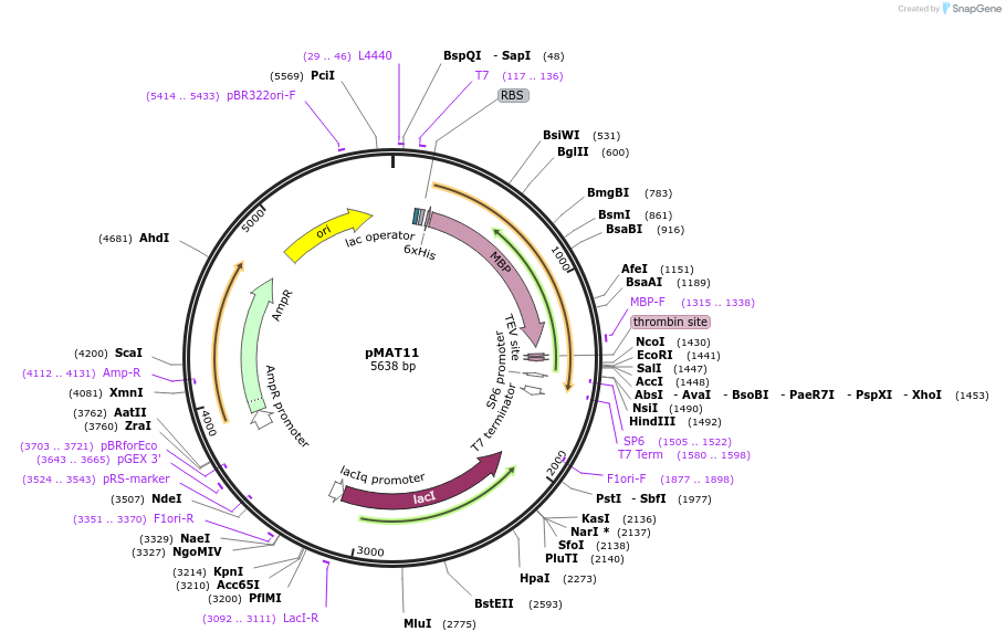 220192_map
