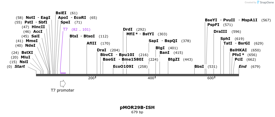 22020_map
