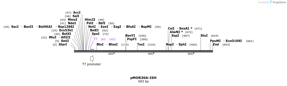 22022_map