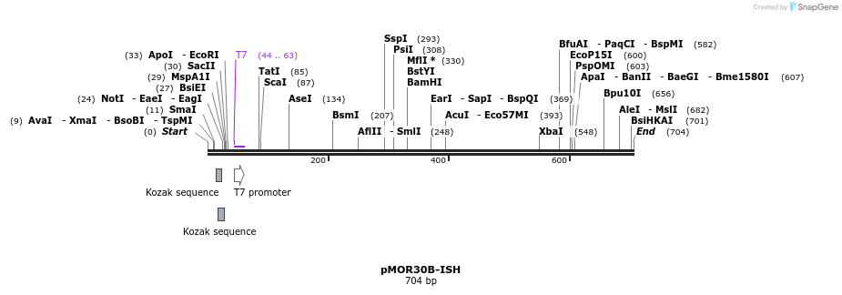22023_map