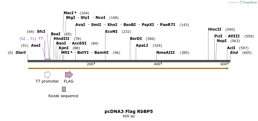 22026_map