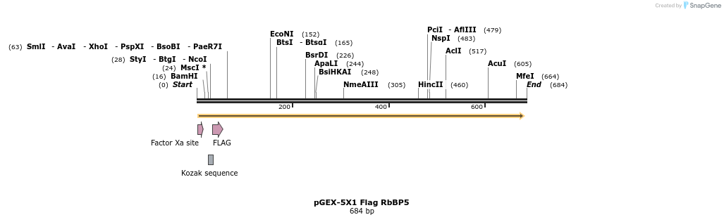 22027_map