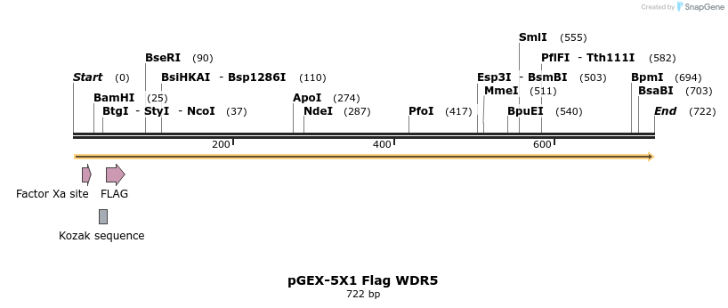 22029_map