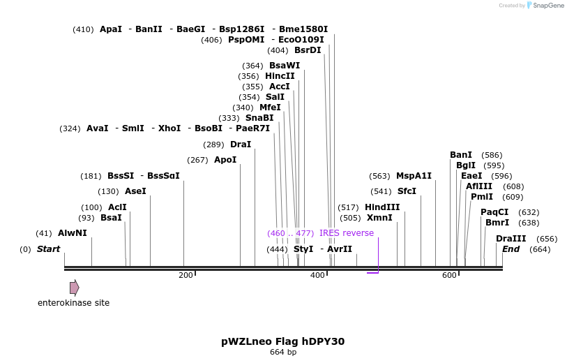 22031_map
