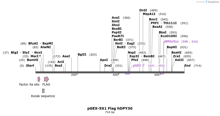 22032_map