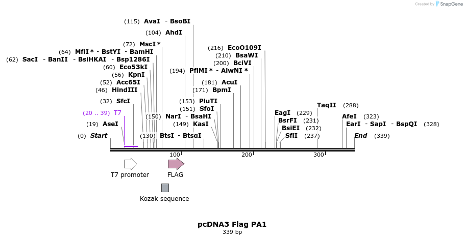 22035_map