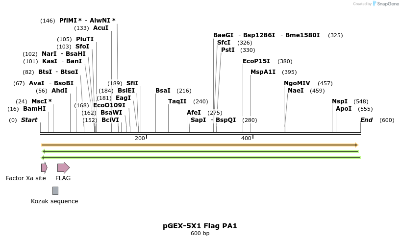 22036_map