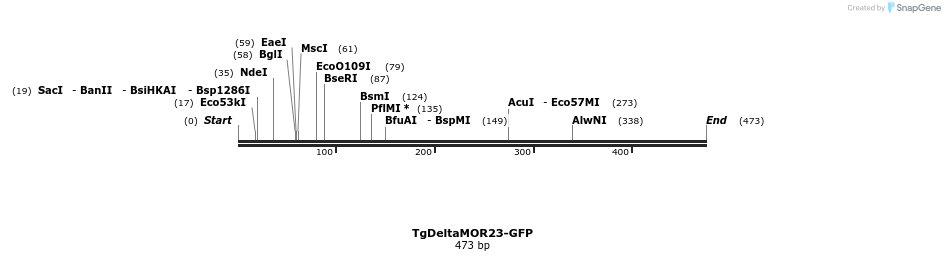 22037_map