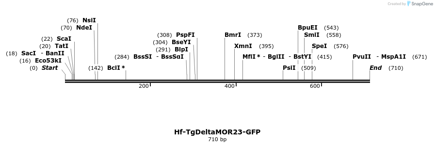 22038_map