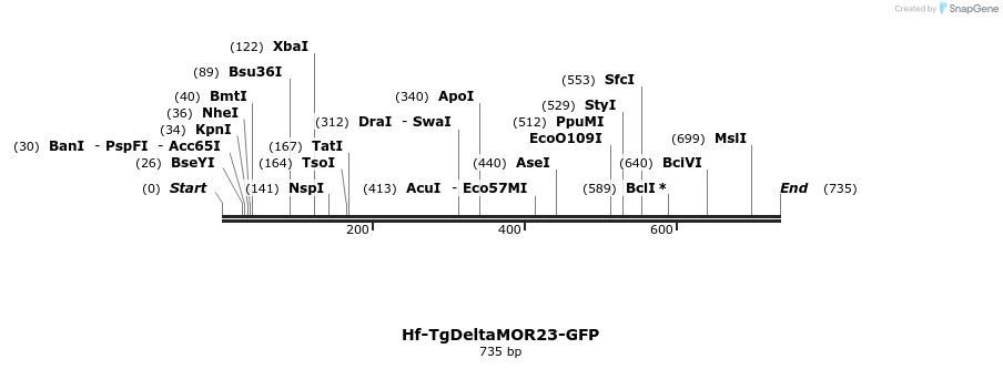 22039_map