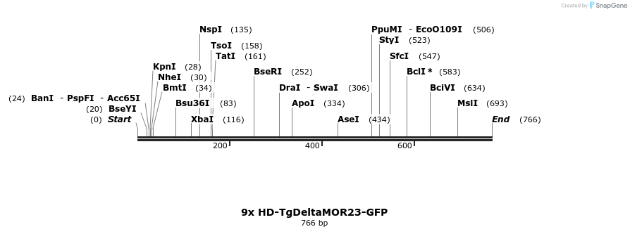 22041_map