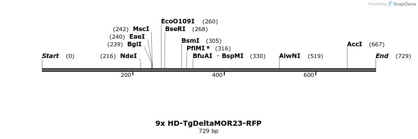 22042_map