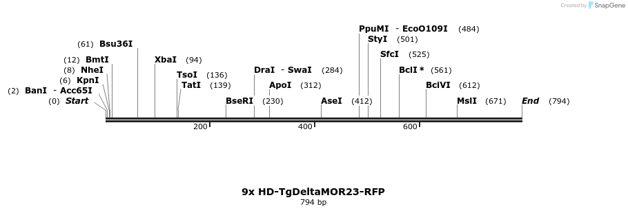 22043_map