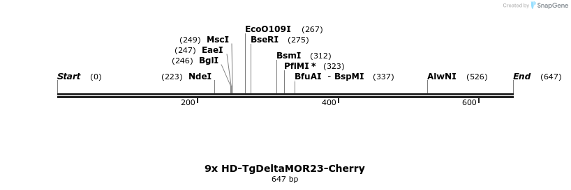 22044_map