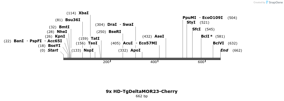 22045_map