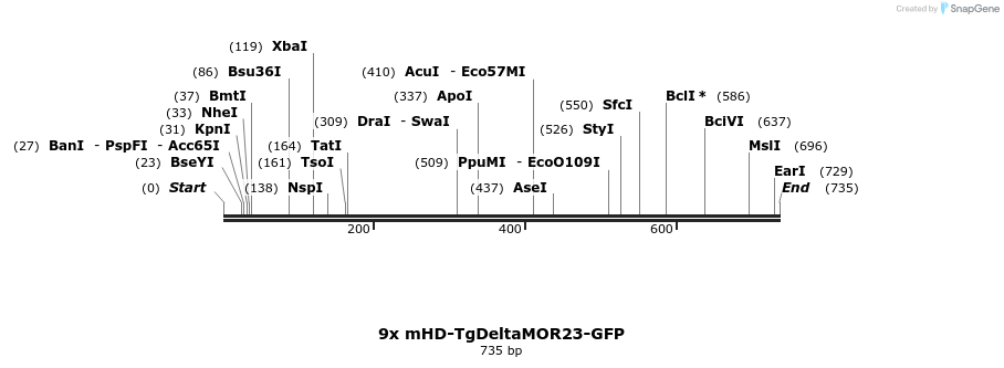 22047_map