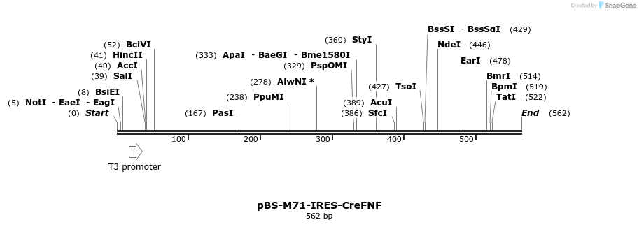 22051_map