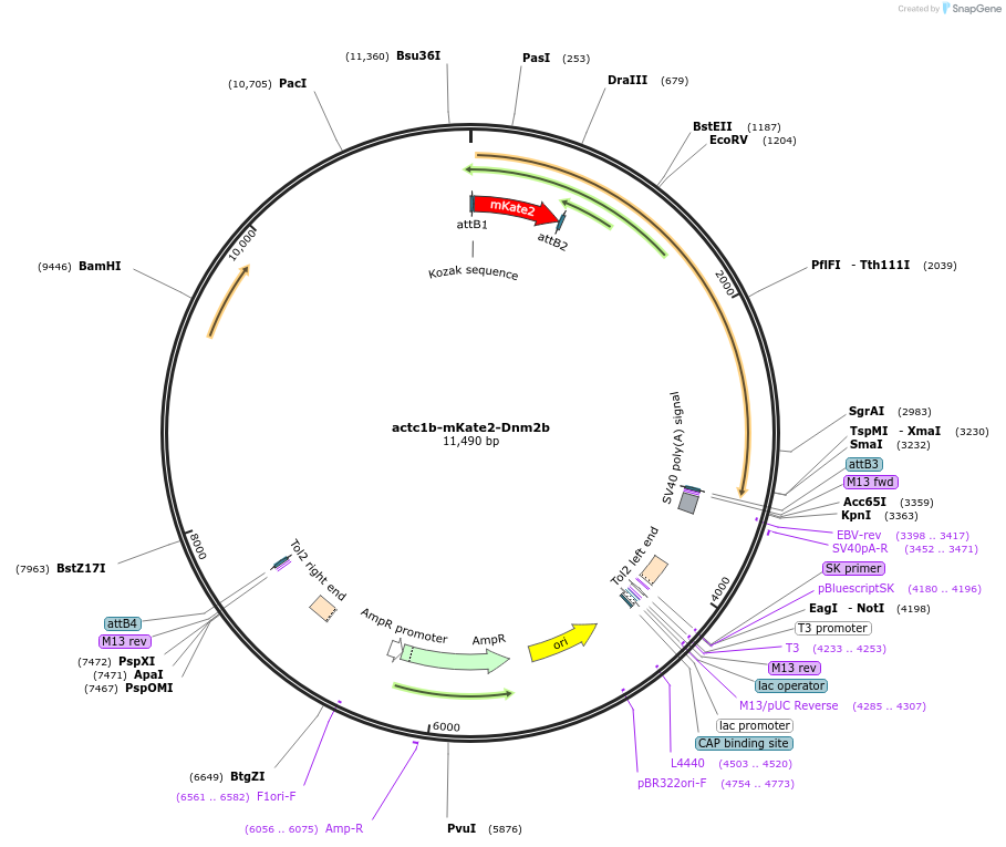 220515_map