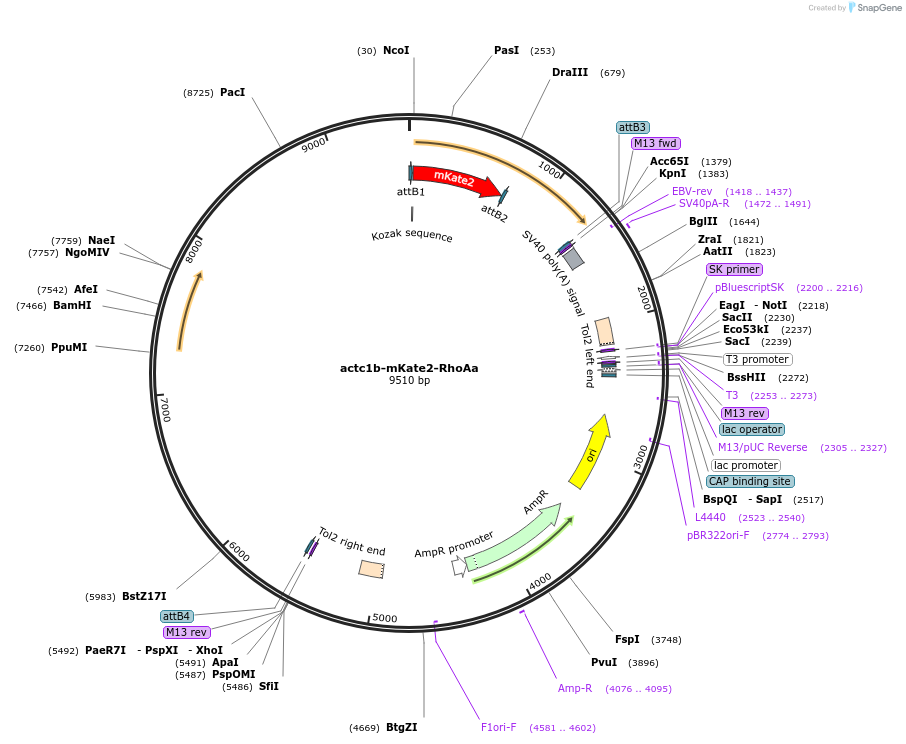 220523_map