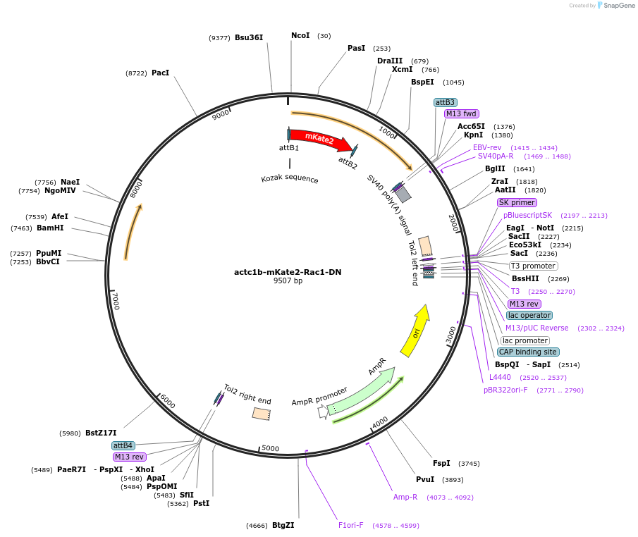 220532_map