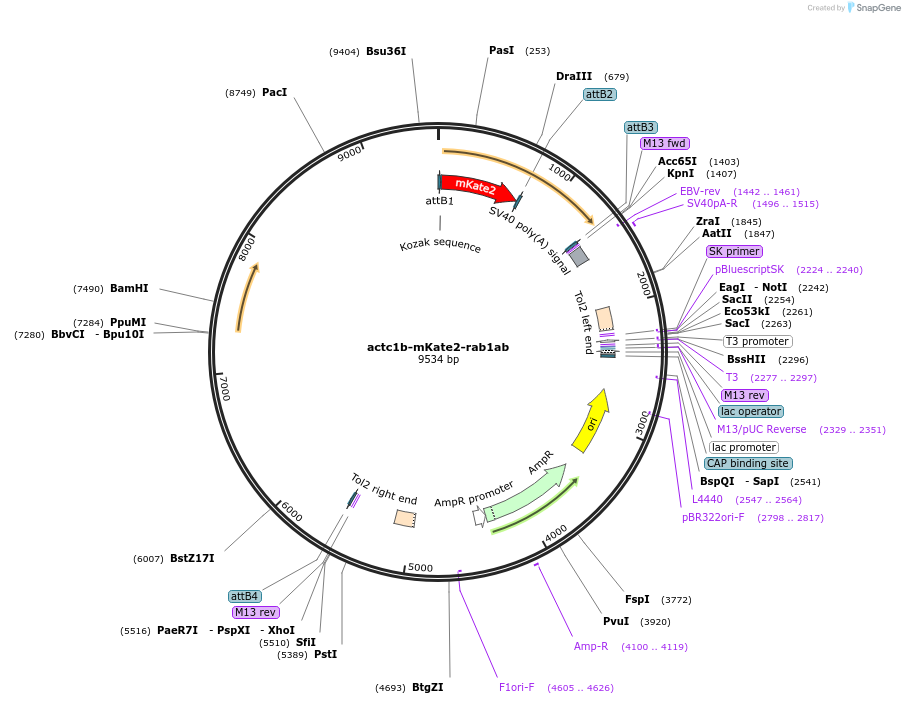 220551_map