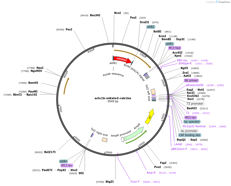 220553_map