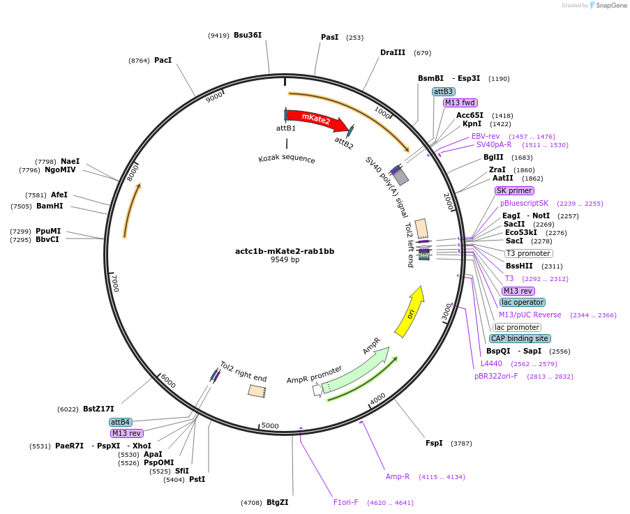 220554_map