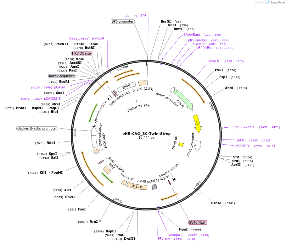 220560_map