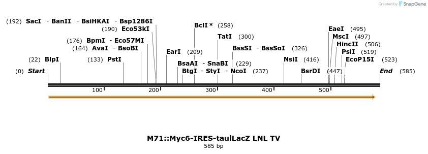 22057_map
