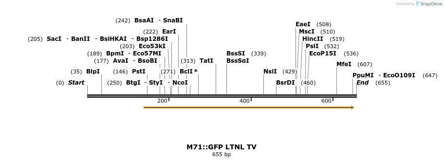 22058_map