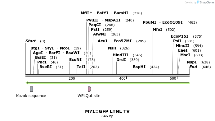 22059_map