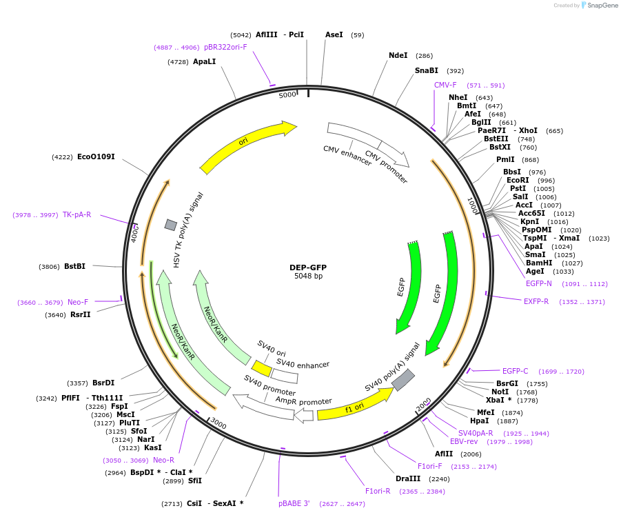 220610_map
