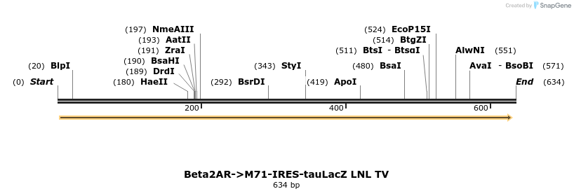 22062_map