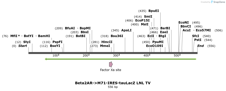 22063_map