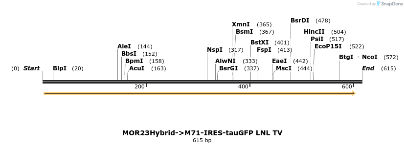 22064_map