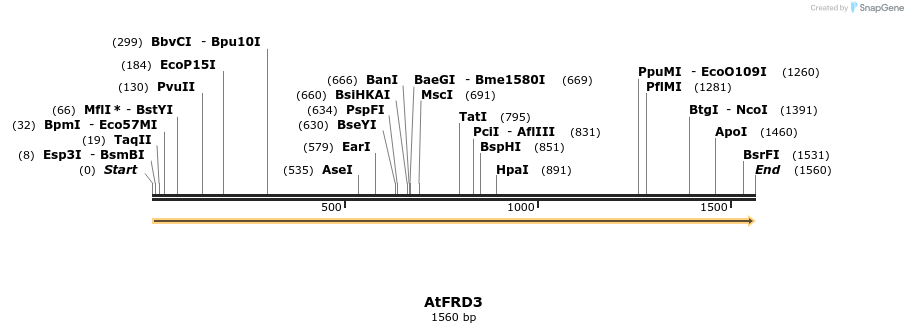 220647_map