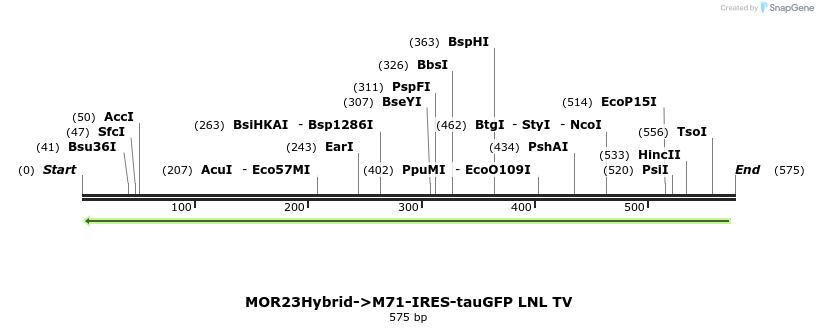22065_map