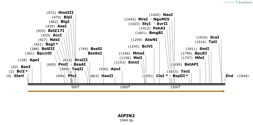 220650_map