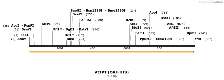 220653_map