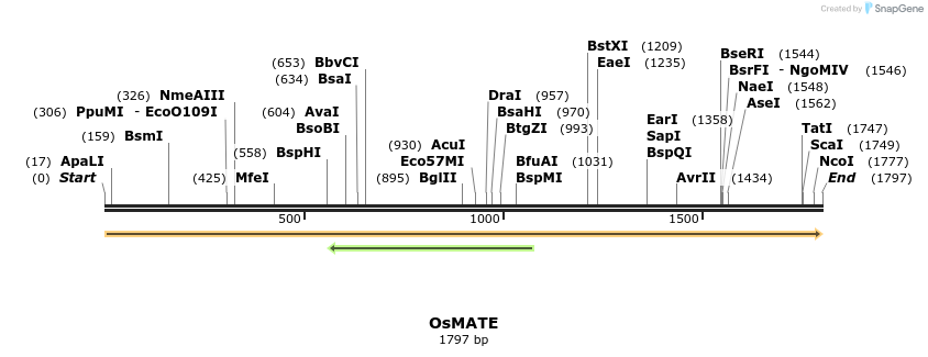 220654_map