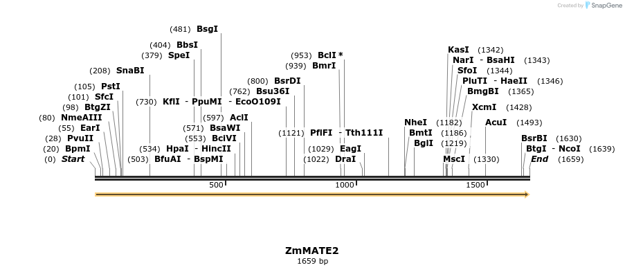 220655_map