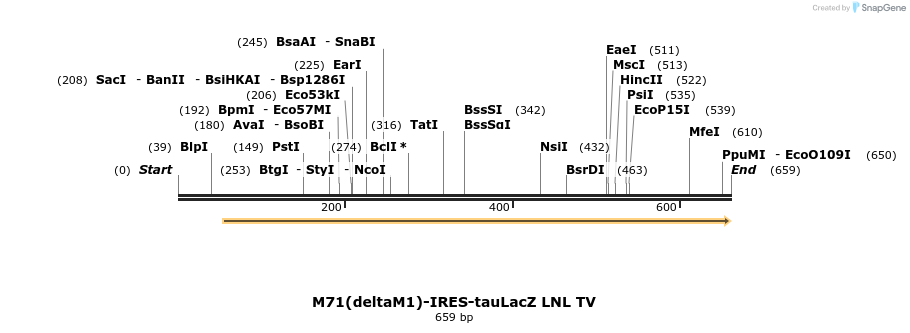 22066_map